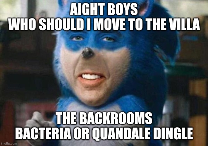 sonicholas cage | AIGHT BOYS
WHO SHOULD I MOVE TO THE VILLA; THE BACKROOMS BACTERIA OR QUANDALE DINGLE | image tagged in sonicholas cage | made w/ Imgflip meme maker