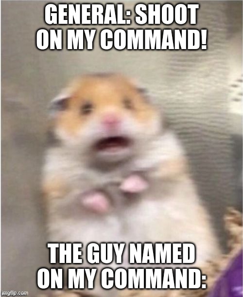Scared Hamster | GENERAL: SHOOT ON MY COMMAND! THE GUY NAMED ON MY COMMAND: | image tagged in scared hamster | made w/ Imgflip meme maker
