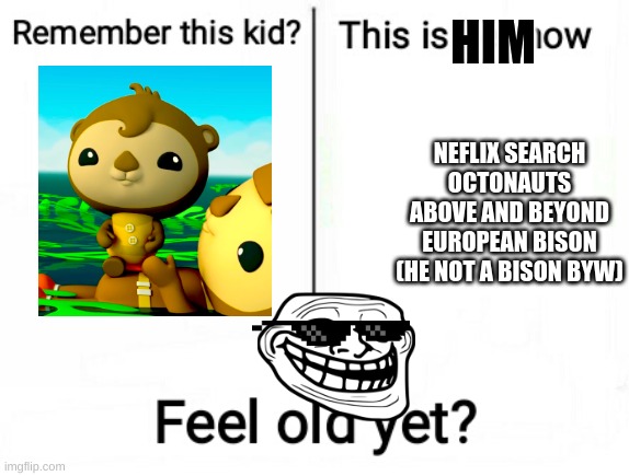 IM BAAAAAAAACCCCCK | HIM; NEFLIX SEARCH OCTONAUTS ABOVE AND BEYOND EUROPEAN BISON (HE NOT A BISON BYW) | image tagged in feel old yet | made w/ Imgflip meme maker