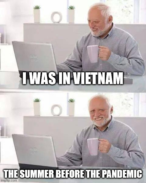 Boomers in Vietnam | I WAS IN VIETNAM; THE SUMMER BEFORE THE PANDEMIC | image tagged in memes,hide the pain harold | made w/ Imgflip meme maker