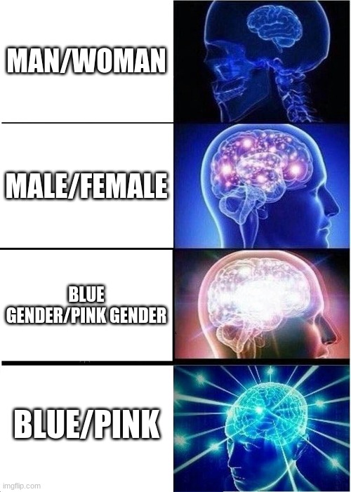 Expanding Brain | MAN/WOMAN; MALE/FEMALE; BLUE GENDER/PINK GENDER; BLUE/PINK | image tagged in memes,expanding brain | made w/ Imgflip meme maker