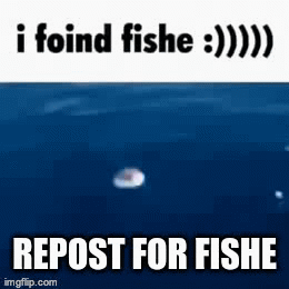 iffy - save gifs & videos 🦝 on X: meme video of fish from
