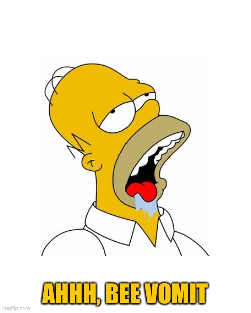 AHHH, BEE VOMIT | image tagged in homer simpson drooling | made w/ Imgflip meme maker