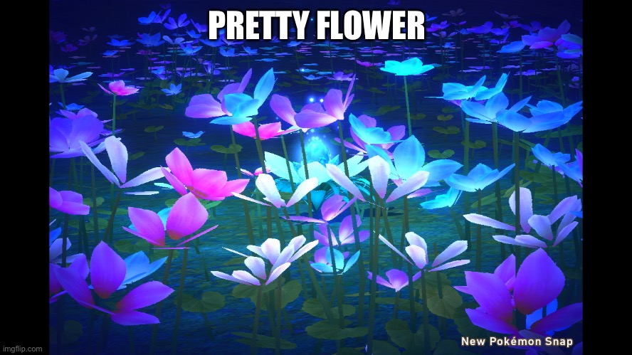 Might become a background on my phone idk | PRETTY FLOWER | made w/ Imgflip meme maker