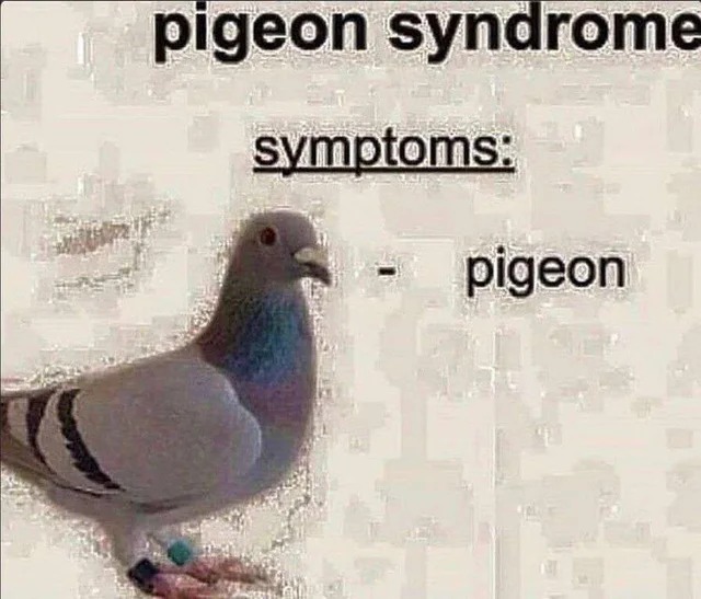 Pigeon syndrome Blank Meme Template