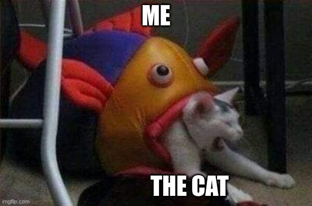 Cat eaten by play-fish |  ME; THE CAT | image tagged in cat eaten by play-fish | made w/ Imgflip meme maker