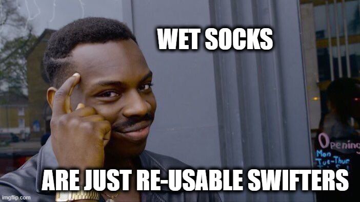 Roll Safe Think About It | WET SOCKS; ARE JUST RE-USABLE SWIFTERS | image tagged in memes,roll safe think about it,fun | made w/ Imgflip meme maker
