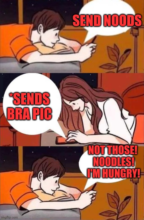 Noods |  SEND NOODS; *SENDS BRA PIC; NOT THOSE!  NOODLES!  I'M HUNGRY! | image tagged in boy girl texting,noodles,hungry,big chungus | made w/ Imgflip meme maker