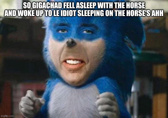 sonicholas cage | SO GIGACHAD FELL ASLEEP WITH THE HORSE AND WOKE UP TO LE IDIOT SLEEPING ON THE HORSE'S AHH | image tagged in sonicholas cage | made w/ Imgflip meme maker