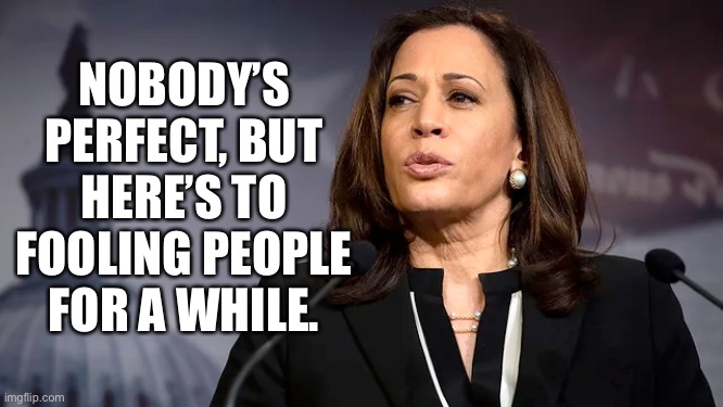 Nobody’s perfect | NOBODY’S PERFECT, BUT HERE’S TO FOOLING PEOPLE FOR A WHILE. | image tagged in kamala harris,fooling people,for a while,especially me | made w/ Imgflip meme maker