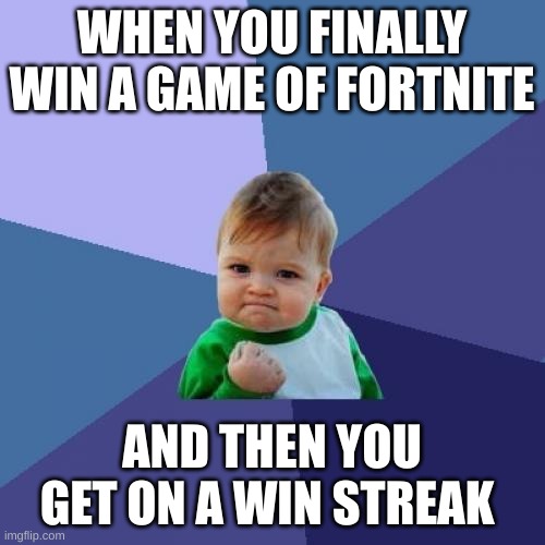 Success Kid | WHEN YOU FINALLY WIN A GAME OF FORTNITE; AND THEN YOU GET ON A WIN STREAK | image tagged in memes,success kid | made w/ Imgflip meme maker