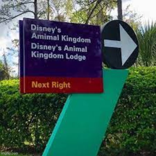 Yet another Disney typo - Imgflip