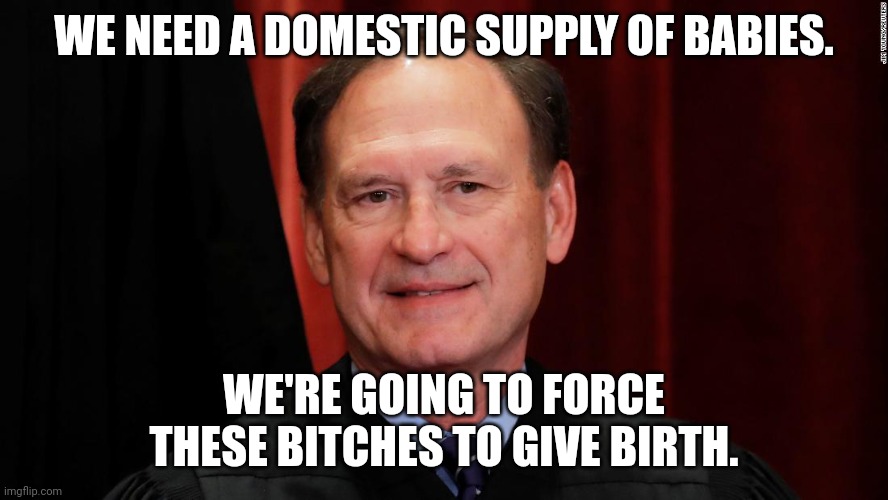 Samuel Alito | WE NEED A DOMESTIC SUPPLY OF BABIES. WE'RE GOING TO FORCE THESE BITCHES TO GIVE BIRTH. | image tagged in samuel alito | made w/ Imgflip meme maker