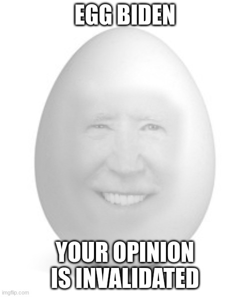 EggBidenEggBiden |  EGG BIDEN; YOUR OPINION IS INVALIDATED | image tagged in egg,funny,meme | made w/ Imgflip meme maker