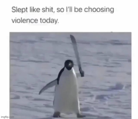 Peace was never an option | image tagged in penguin,knife,knife fight,knife penguin | made w/ Imgflip meme maker