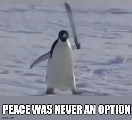 Penguin knife attack |  PEACE WAS NEVER AN OPTION | image tagged in peace was never an option,penguin,socially awkward penguin | made w/ Imgflip meme maker