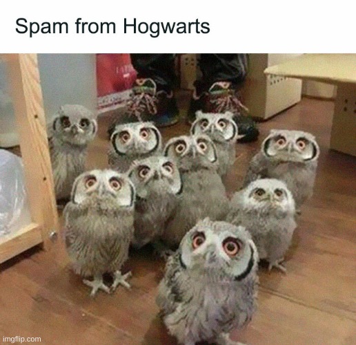 yup | image tagged in harry potter | made w/ Imgflip meme maker