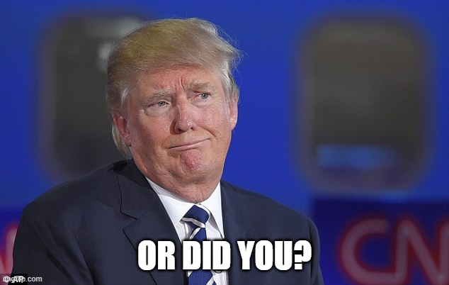 Donald Trump Did You Fart or Just Make the Face? | OR DID YOU? | image tagged in donald trump did you fart or just make the face | made w/ Imgflip meme maker