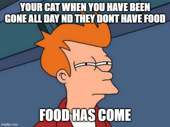Futurama Fry Meme | YOUR CAT WHEN YOU HAVE BEEN GONE ALL DAY ND THEY DONT HAVE FOOD; FOOD HAS COME | image tagged in memes,futurama fry | made w/ Imgflip meme maker