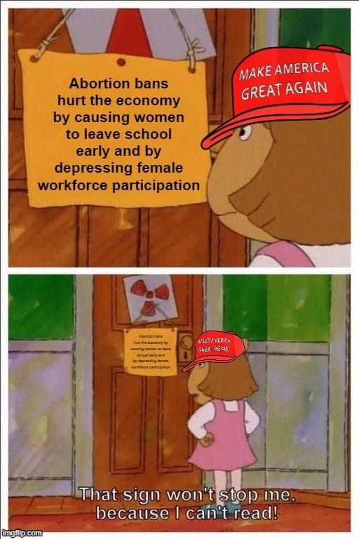 Abortion bans hurt the economy | image tagged in abortion bans hurt the economy | made w/ Imgflip meme maker