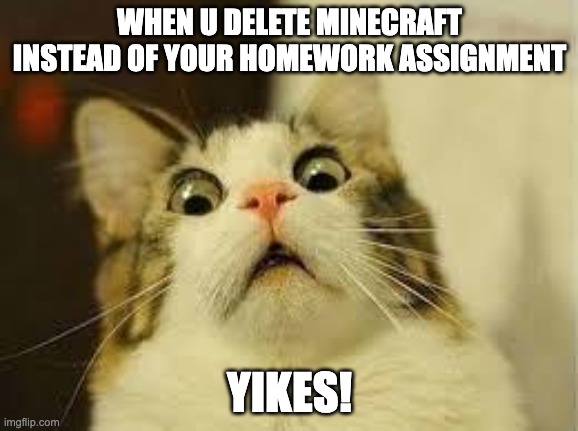 shocked cat | WHEN U DELETE MINECRAFT INSTEAD OF YOUR HOMEWORK ASSIGNMENT; YIKES! | image tagged in shocked cat | made w/ Imgflip meme maker