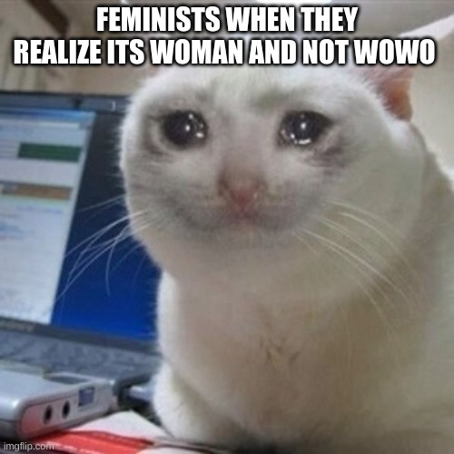 hi |  FEMINISTS WHEN THEY REALIZE ITS WOMAN AND NOT WOWO | image tagged in crying cat | made w/ Imgflip meme maker