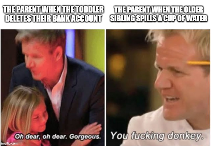 Older kids vs younger kids |  THE PARENT WHEN THE TODDLER DELETES THEIR BANK ACCOUNT; THE PARENT WHEN THE OLDER SIBLING SPILLS A CUP OF WATER | image tagged in gordon ramsay kids vs adults | made w/ Imgflip meme maker