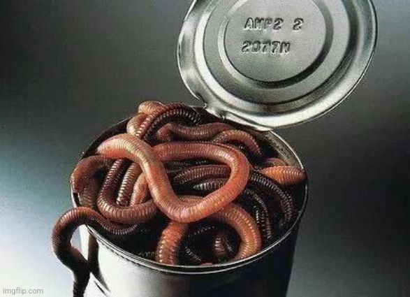 Can of Worms | image tagged in can of worms | made w/ Imgflip meme maker