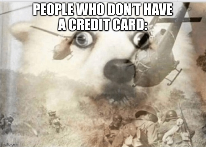 PTSD dog | PEOPLE WHO DON’T HAVE
A CREDIT CARD: | image tagged in ptsd dog | made w/ Imgflip meme maker