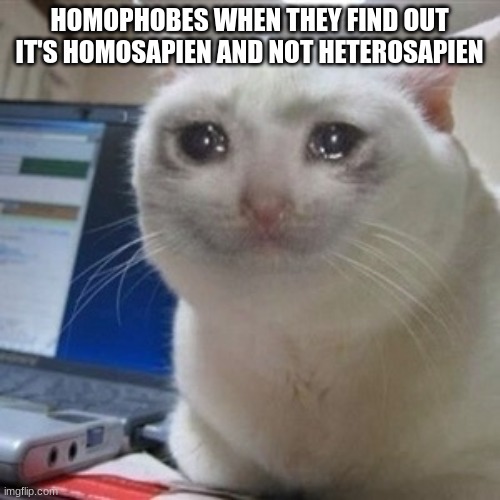 Crying cat | HOMOPHOBES WHEN THEY FIND OUT IT'S HOMOSAPIEN AND NOT HETEROSAPIEN | image tagged in crying cat | made w/ Imgflip meme maker