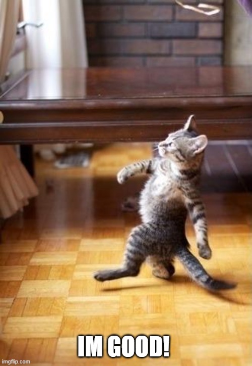Cool Cat Stroll Meme | IM GOOD! | image tagged in memes,cool cat stroll | made w/ Imgflip meme maker