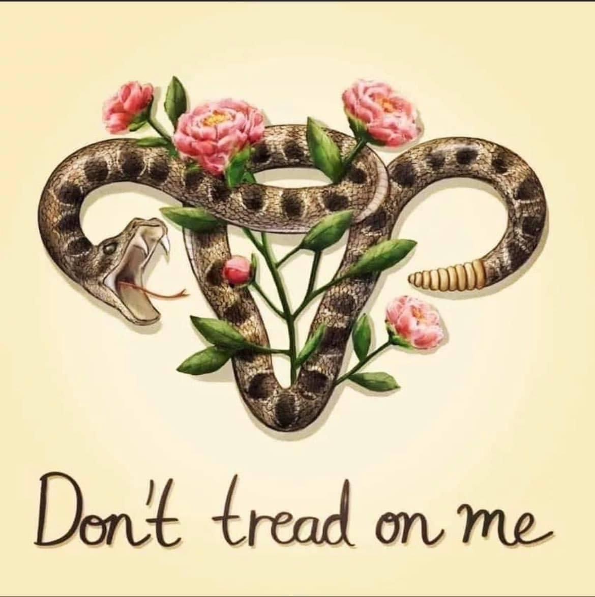 Don’t tread on me uterus Blank Meme Template