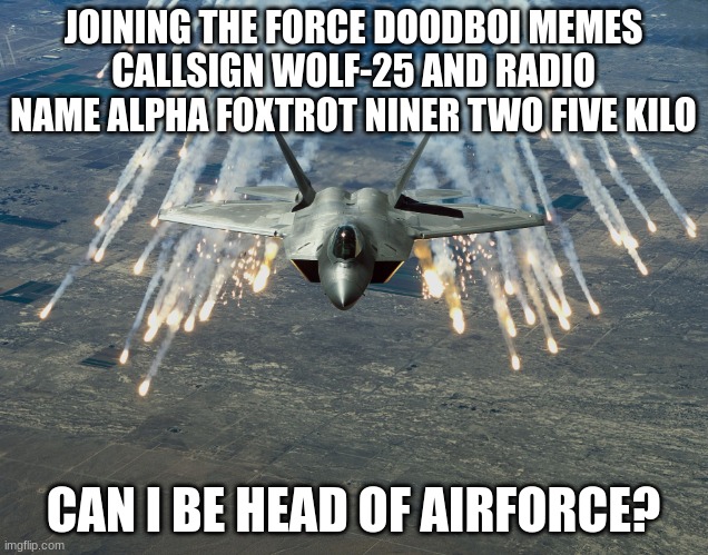 permission? |  JOINING THE FORCE DOODBOI MEMES
CALLSIGN WOLF-25 AND RADIO NAME ALPHA FOXTROT NINER TWO FIVE KILO; CAN I BE HEAD OF AIRFORCE? | image tagged in fighter jet,air force | made w/ Imgflip meme maker