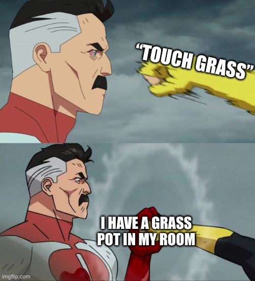 L bozo |  “TOUCH GRASS”; I HAVE A GRASS POT IN MY ROOM | image tagged in omni man blocks punch,blocks punish,punch block,touch grass,l bozo,will smith slap | made w/ Imgflip meme maker