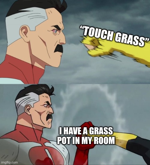 L bozo | “TOUCH GRASS”; I HAVE A GRASS POT IN MY ROOM | image tagged in omni man blocks punch,blocks punish,punch block,touch grass,l bozo,will smith slap | made w/ Imgflip meme maker