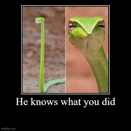 He knows what you did | image tagged in funny,demotivationals,snake | made w/ Imgflip demotivational maker