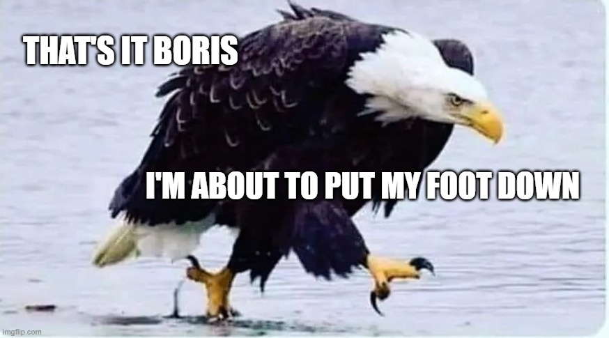 Angry Eagle | THAT'S IT BORIS; I'M ABOUT TO PUT MY FOOT DOWN | image tagged in boris,eagle,angry eagle,usa | made w/ Imgflip meme maker