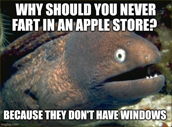 Bad Joke Eel | WHY SHOULD YOU NEVER FART IN AN APPLE STORE? BECAUSE THEY DON'T HAVE WINDOWS | image tagged in memes,bad joke eel | made w/ Imgflip meme maker