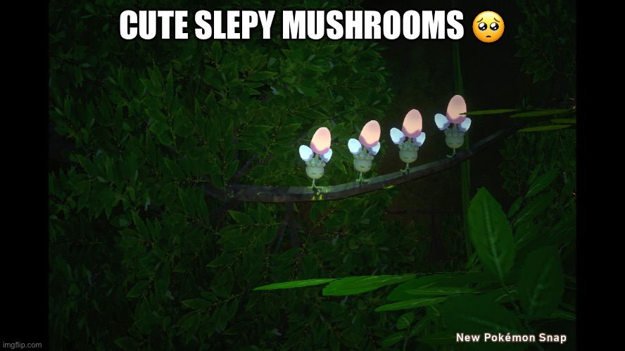Finally remembered their names, it’s Morelull | CUTE SLEPY MUSHROOMS 🥺 | made w/ Imgflip meme maker