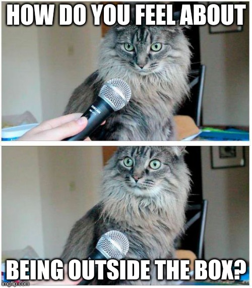cat and microphone | HOW DO YOU FEEL ABOUT; BEING OUTSIDE THE BOX? | image tagged in cat and microphone | made w/ Imgflip meme maker