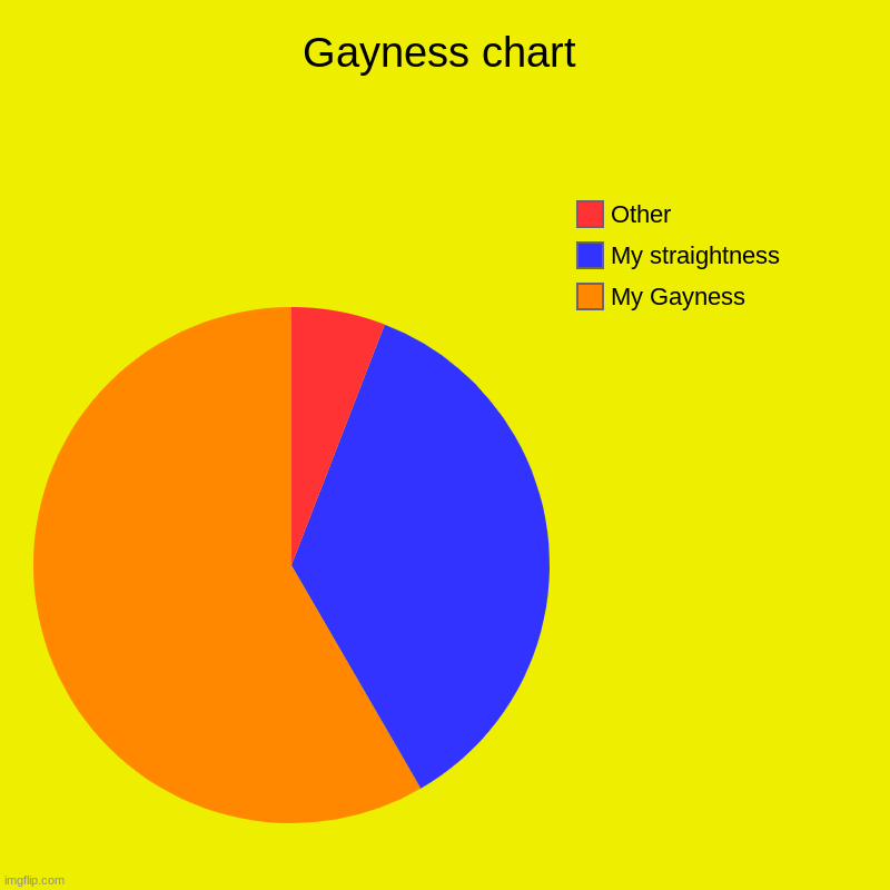 Gayness chart | My Gayness, My straightness, Other | image tagged in charts,pie charts | made w/ Imgflip chart maker