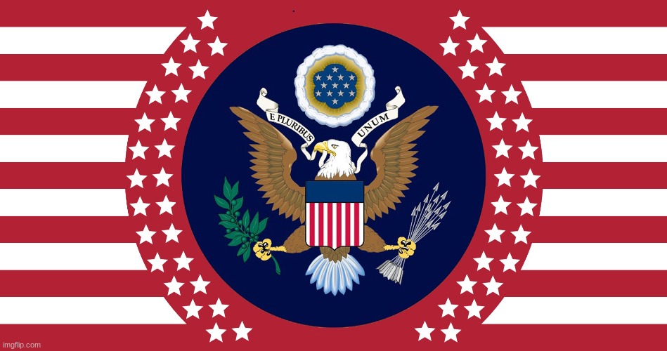 This should be the new american flag | image tagged in new,american,flag | made w/ Imgflip meme maker