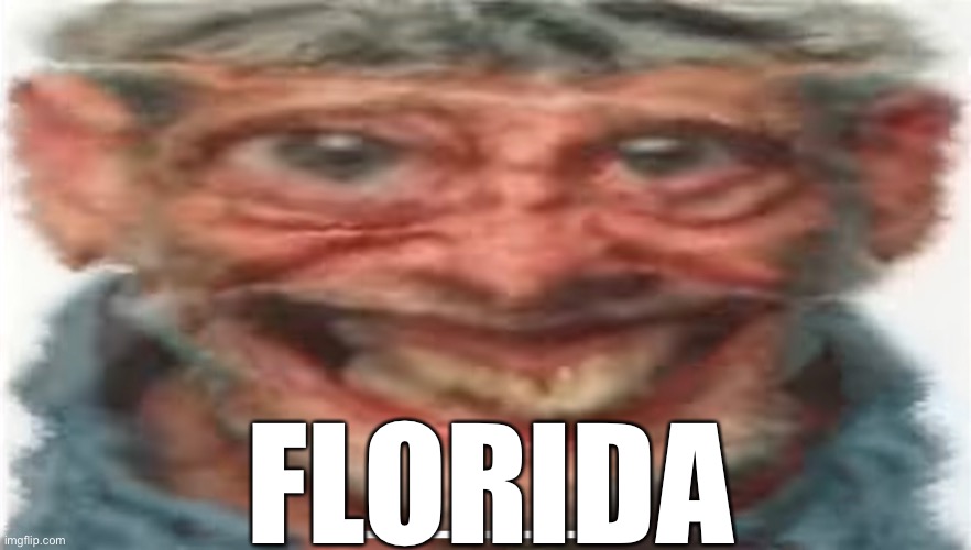 GET THE QUIET KID, THE ONE WHO ASKED IS DEAD | FLORIDA | image tagged in florida man,who asked,quiet kid,country | made w/ Imgflip meme maker