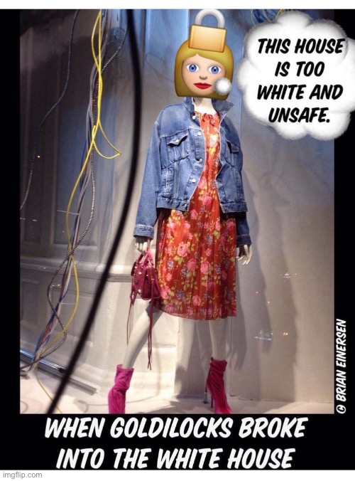 You Can’t Take Her Anywhere! | image tagged in fashion,window design,saks fifth avenue,white house,goldilocks,brian einersen | made w/ Imgflip meme maker