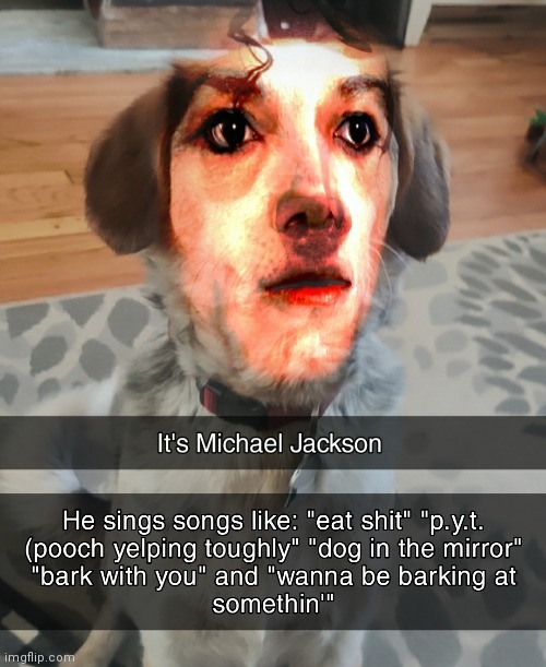 Snapchat filters on dogs ? | made w/ Imgflip meme maker