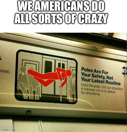 Based on past experience | WE AMERICANS DO ALL SORTS OF CRAZY | image tagged in blank white template,no pole dancing | made w/ Imgflip meme maker