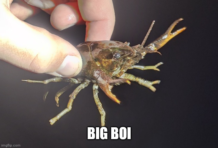 BIG BOI | made w/ Imgflip meme maker