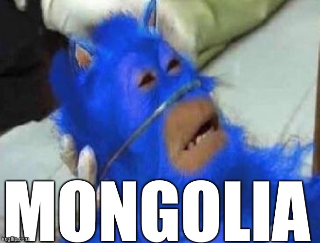 Sonic what happened | MONGOLIA | image tagged in squid game,sonic,country | made w/ Imgflip meme maker