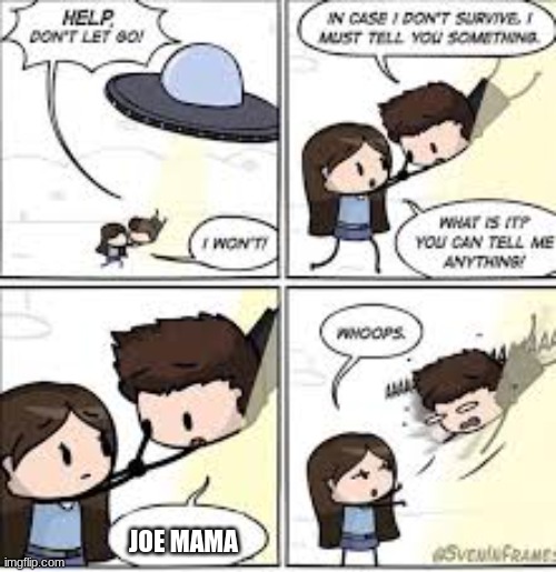 help dont let go | JOE MAMA | image tagged in help dont let go | made w/ Imgflip meme maker