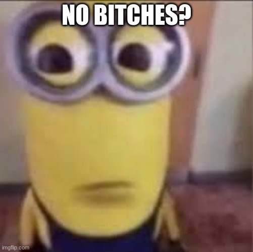 no bitches | NO BITCHES? | image tagged in goofy ahh minion | made w/ Imgflip meme maker